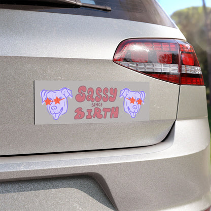 Sassy Since Birth© Auto World Tech Super Strong Car Magnets