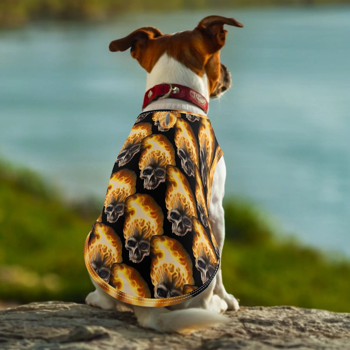 Skull Candy© Animal Print Pet Hoodies Clothing for Small Medium Dogs Cats