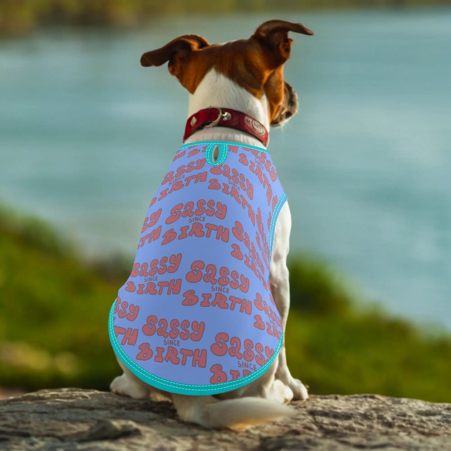 Sassy Since Birth© Breathable Fit Pet Shirt Clothing for Small Medium Dogs Cats Furry Friends