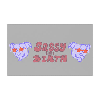 Sassy Since Birth© Auto World Tech Super Strong Car Magnets