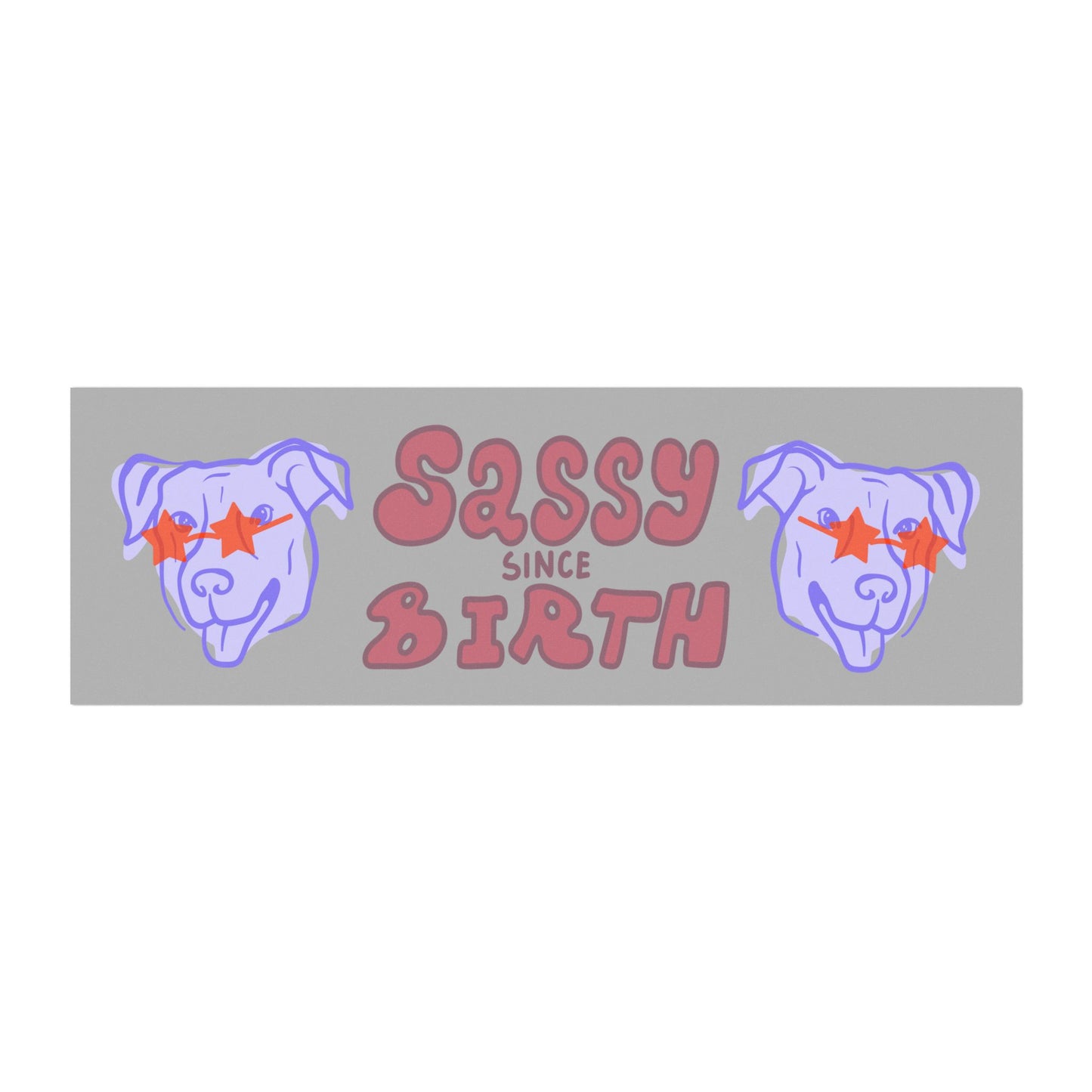 Sassy Since Birth© Auto World Tech Super Strong Car Magnets