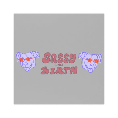 Sassy Since Birth© Auto World Tech Super Strong Car Magnets